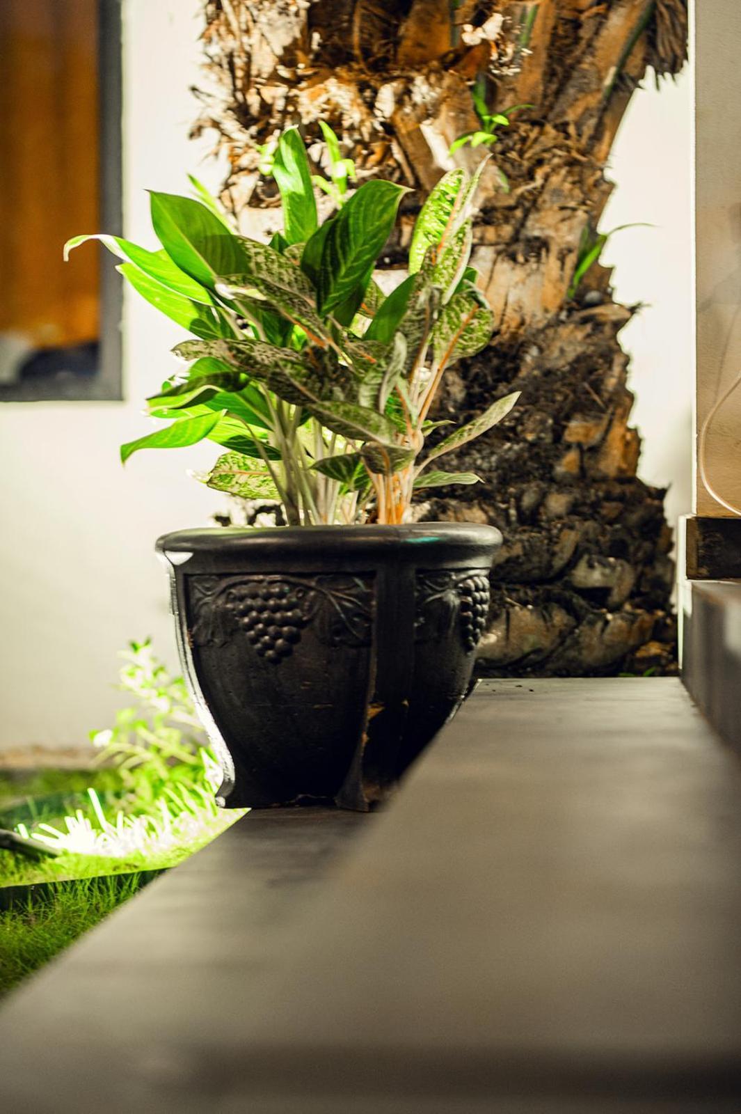 Ahome Guest House & Lounge ロメ エクステリア 写真