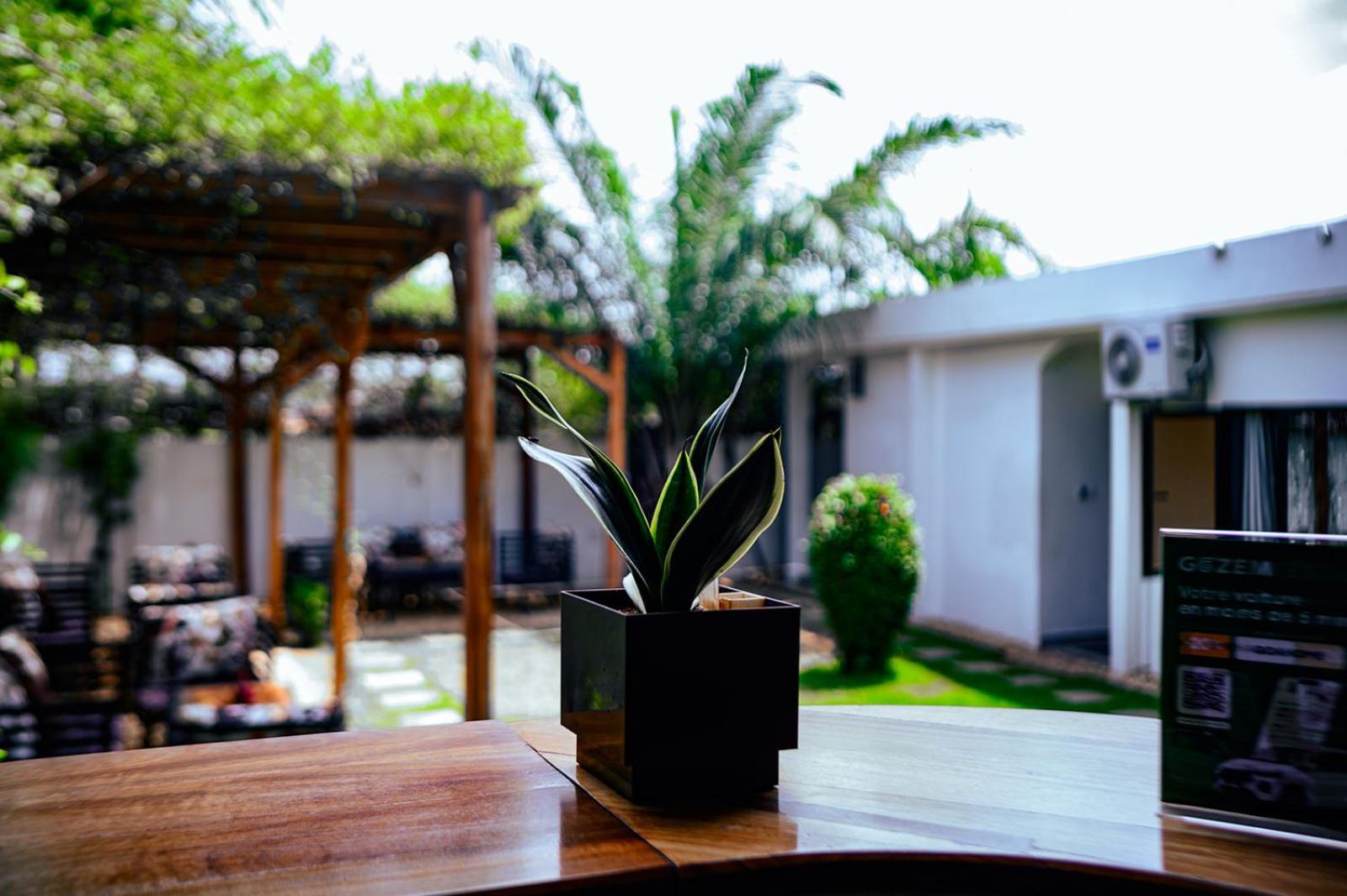 Ahome Guest House & Lounge ロメ エクステリア 写真